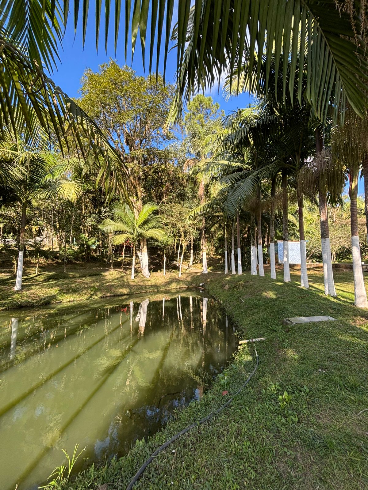 Foto 5 da unidade Caminhos da Esperança