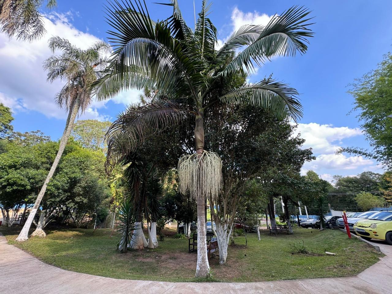 Foto 10 da unidade Caminhos da Esperança